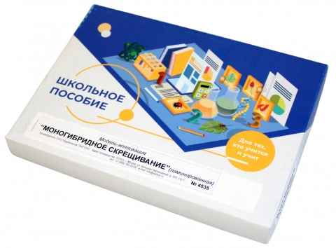 Модель-аппликация <Моногибридное скрещивание>
