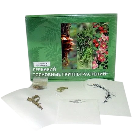 Гербарий «Основные группы растений»