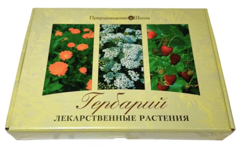 Гербарий «Лекарственные растения»