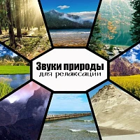 Комплект аудио-, видеозаписей